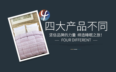 探索鼎善商城 優質新款羽絲絨冬被與植物羊絨冬被的批發優勢