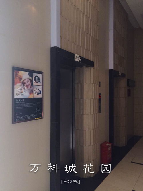 廣州樓宇電梯廣告公司專業(yè)服務與市場分析